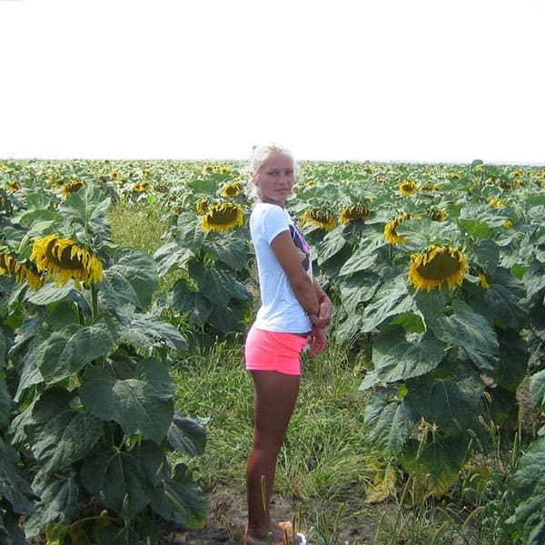 Секс с молодой украинкой в подсолнуховом поле 1 фото