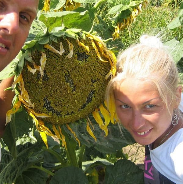 Секс с молодой украинкой в подсолнуховом поле 18 фото