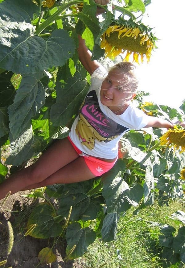 Секс с молодой украинкой в подсолнуховом поле 9 фото