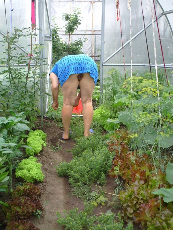 Голые дачницы: Частное ню девушек в огороде и саду 54 фото